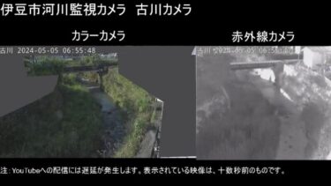 古川 古川河川監視のライブカメラ|静岡県伊豆市のサムネイル