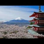 新倉山浅間公園・忠霊塔展望デッキのライブカメラ|山梨県富士吉田市のサムネイル