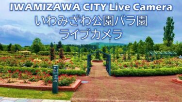 いわみざわ公園バラ園のライブカメラ|北海道岩見沢市のサムネイル