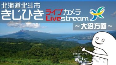 きじひき高原より大沼方面のライブカメラ|北海道北斗市