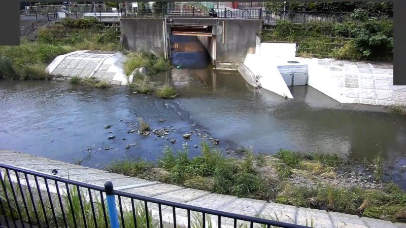 野川 東野川3丁目のライブカメラ|東京都狛江市のサムネイル