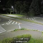 長野県道43号 プリンス通り付近のライブカメラ|長野県軽井沢町のサムネイル