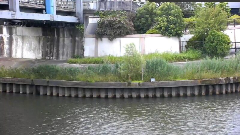新河岸川 舟渡大橋のライブカメラ|東京都板橋区のサムネイル