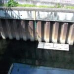 神田川 久我山橋のライブカメラ|東京都杉並区のサムネイル