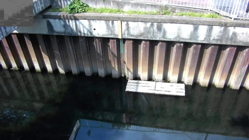 神田川 久我山橋のライブカメラ|東京都杉並区のサムネイル