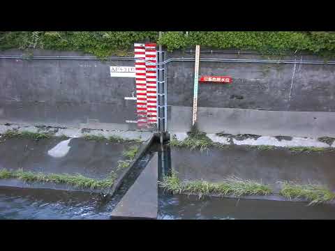 神田川 和田見橋のライブカメラ|東京都杉並区のサムネイル