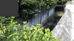 石神井川 向台のライブカメラ|東京都西東京市のサムネイル