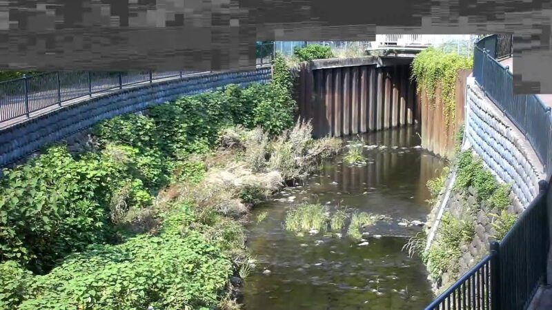 石神井川 溜渕橋上流のライブカメラ|東京都西東京市のサムネイル