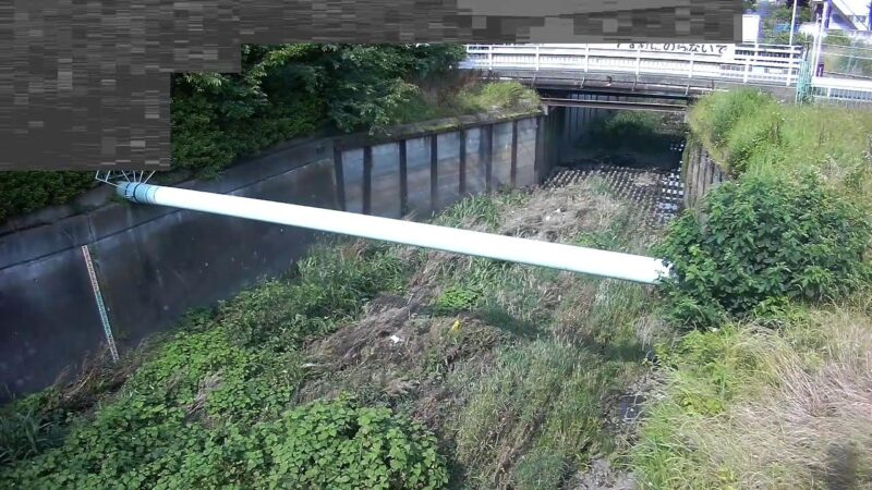 石神井川 柳沢橋のライブカメラ|東京都西東京市のサムネイル