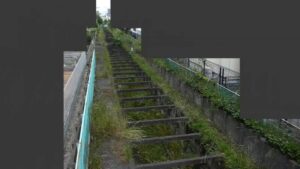 東京都小金井市 仙川 仙川花見のライブカメラ