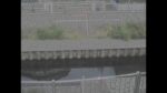善福寺川 西田端橋のライブカメラ|東京都杉並区のサムネイル