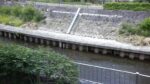 善福寺川 白山前橋のライブカメラ|東京都杉並区のサムネイル