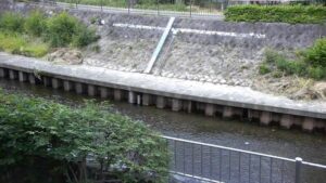 東京都杉並区 善福寺川 白山前橋のライブカメラ