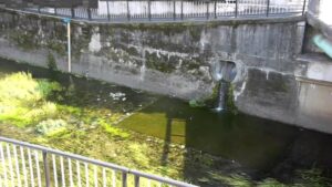 東京都杉並区 善福寺川 荻窪橋のライブカメラ