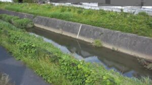 東京都八王子市 湯殿川 白旗橋のライブカメラ