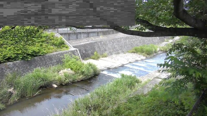 湯殿川 東橋のライブカメラ|東京都⼋王子市のサムネイル