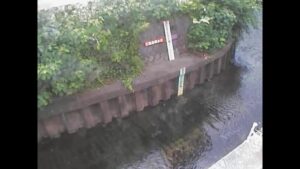 東京都練馬区 白子川 子安橋のライブカメラ
