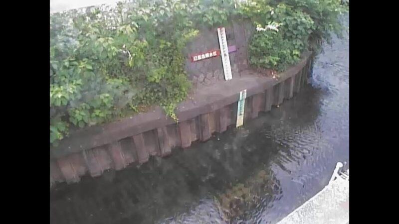 白子川 子安橋のライブカメラ|東京都練馬区のサムネイル