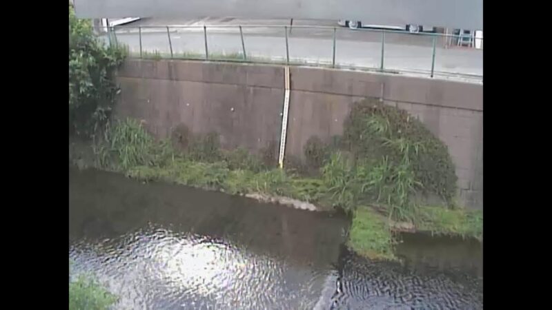 白子川 越後山橋のライブカメラ|東京都練馬区のサムネイル