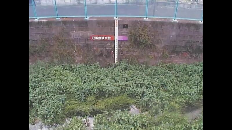 白子川 松殿橋のライブカメラ|東京都練馬区のサムネイル
