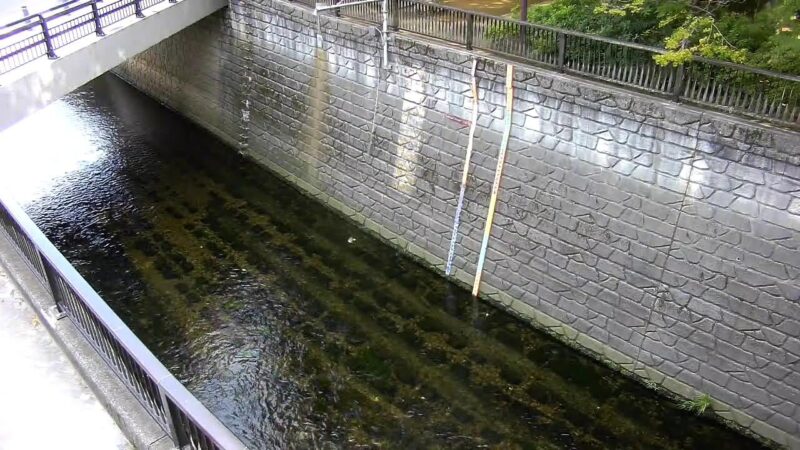 妙正寺川 天神橋のライブカメラ|東京都中野区のサムネイル