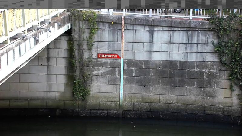 目黒川 荏原調節池上流のライブカメラ|東京都品川区のサムネイル