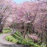 にわ山森林自然公園のライブカメラ|北海道奈井江町のサムネイル