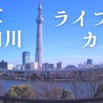 浅草隅田川と東京スカイツリーのライブカメラ|東京都台東区のサムネイル