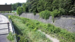 東京都立川市 残堀川 残堀池上のライブカメラ