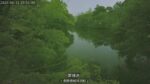 雲場池のライブカメラ|長野県軽井沢町のサムネイル