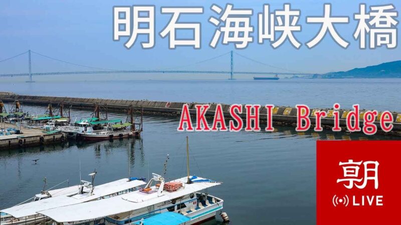 明石浦漁業協同組合から明石海峡大橋のライブカメラ|兵庫県明石市のサムネイル