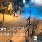狸小路8丁目交差点のライブカメラ|北海道札幌市のサムネイル