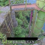 長良川 稲成のライブカメラ|岐阜県郡上市のサムネイル