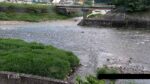 成羽川 手川橋のライブカメラ|岡山県高梁市のサムネイル