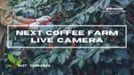 NeXT・Farm合同会社のコーヒー栽培のライブカメラ|福島県伊達市のサムネイル