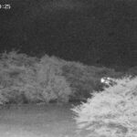 高野桜並木のライブカメラ|秋田県仙北市のサムネイル