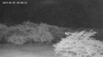 高野桜並木のライブカメラ|秋田県仙北市のサムネイル