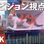 新宿駅東口・クロス新宿ビジョンのライブカメラ|東京都新宿区のサムネイル