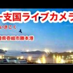 勝本港のライブカメラ|長崎県壱岐市のサムネイル