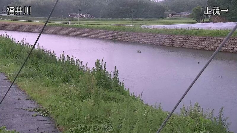 福井川 阿南市福井町大西のライブカメラ|徳島県阿南市のサムネイル