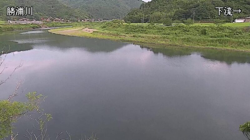 勝浦川 徳島市飯谷町下沖野のライブカメラ|徳島県徳島市のサムネイル