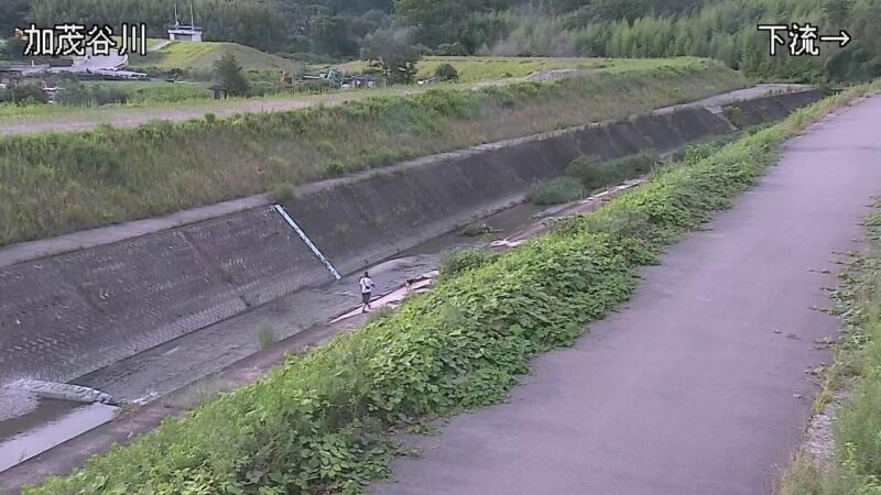 加茂谷川 東みよし町加茂のライブカメラ|徳島県東みよし町のサムネイル