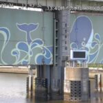 天王洲運河 目黒川水門・全景のライブカメラ|東京都品川区のサムネイル