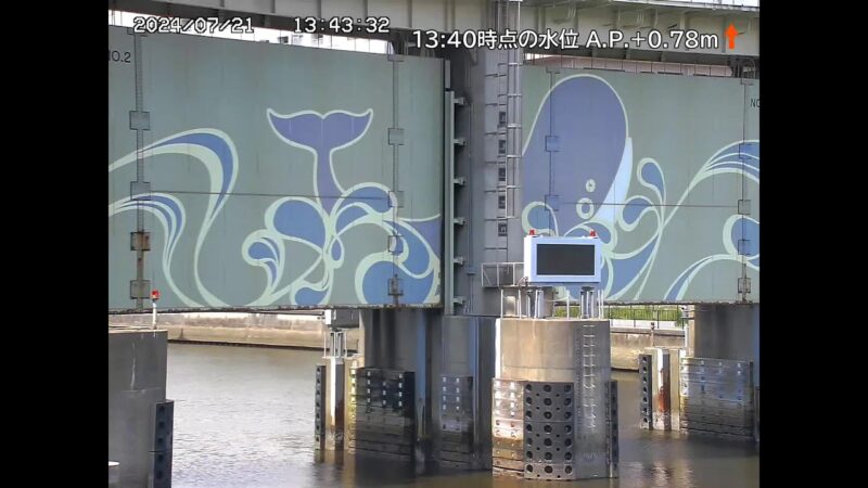 天王洲運河 目黒川水門・全景のライブカメラ|東京都品川区のサムネイル