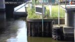 豊洲運河 佃水門・内水側のライブカメラ|東京都中央区のサムネイル