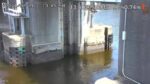 辰巳運河 辰巳水門・内水側のライブカメラ|東京都江東区のサムネイル