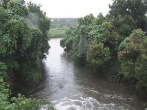 神奈川県海老名市 鳩川 海老名分水路のライブカメラ