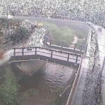 平瀬川 あゆみ橋のライブカメラ|神奈川県川崎市のサムネイル