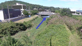 今津川 上常盤橋のライブカメラ|山口県山口市のサムネイル