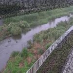 小出川 一ツ橋のライブカメラ|神奈川県寒川町のサムネイル